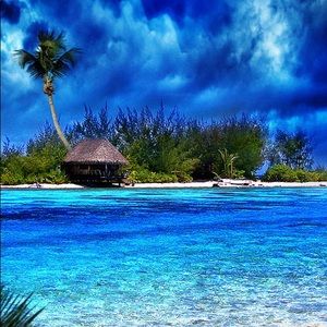 Meet your Posher, Colleen